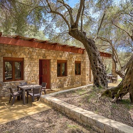 Stonehouse In Olives Ulcinj Exterior foto