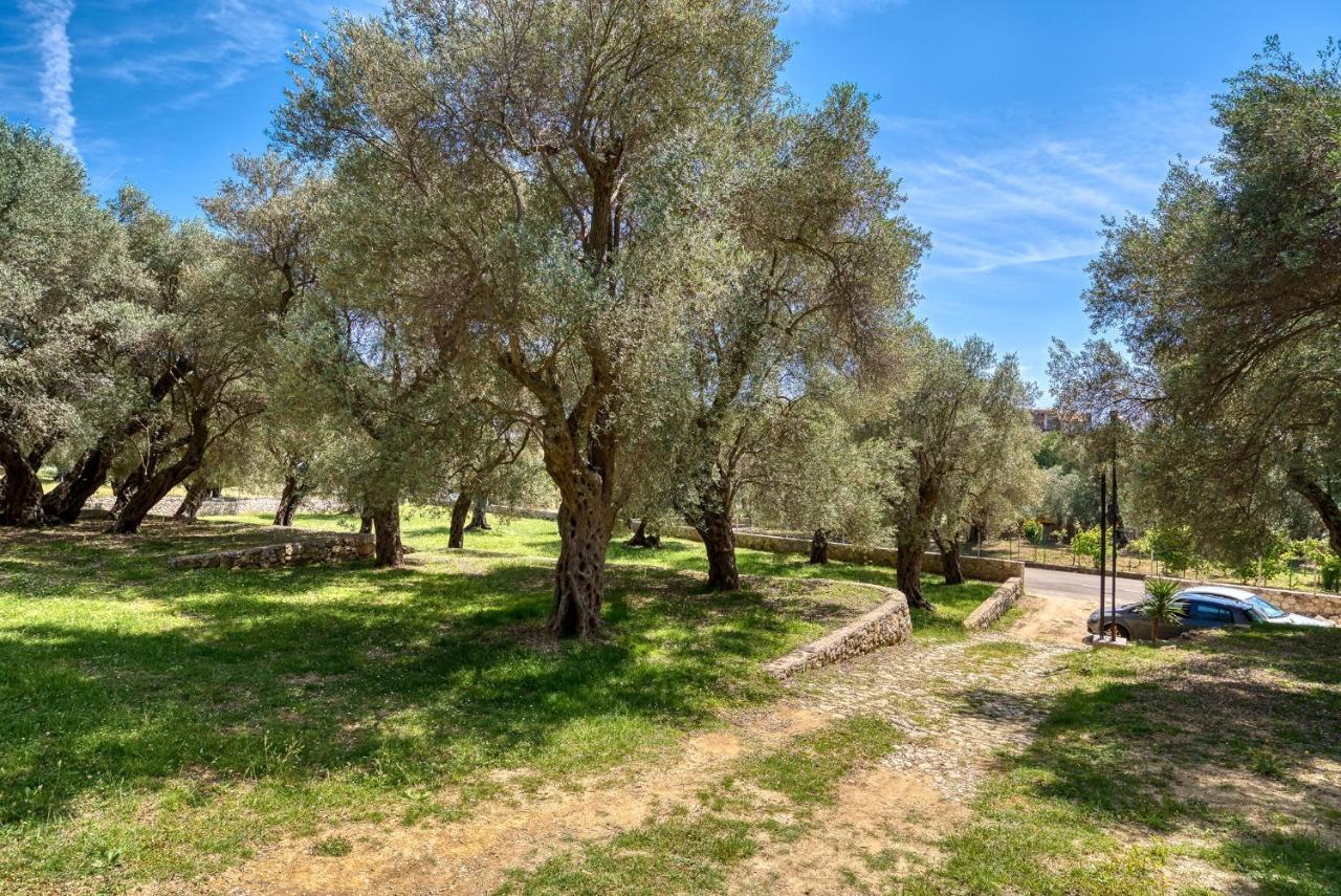 Stonehouse In Olives Ulcinj Exterior foto